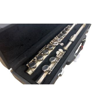 Zen Music Flauto Traverso USATO