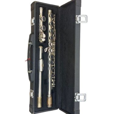 Zen Music Flauto Traverso USATO