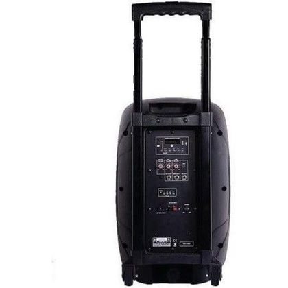 Italian Stage FR12AWV2 Cassa multifunzione portatile con Trolley, radiomicrofono, Usb e Bluetooth