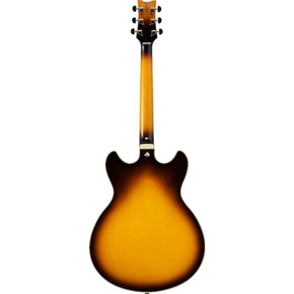 IBANEZ JSM10EM TTB Two Tone Burst Chitarra Semiacustica