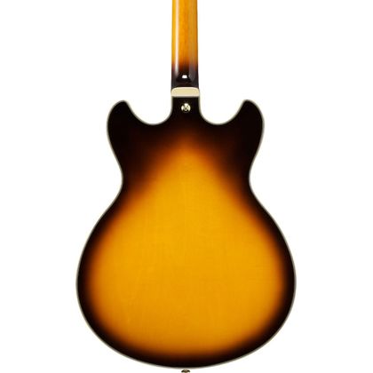 IBANEZ JSM10EM TTB Two Tone Burst Chitarra Semiacustica