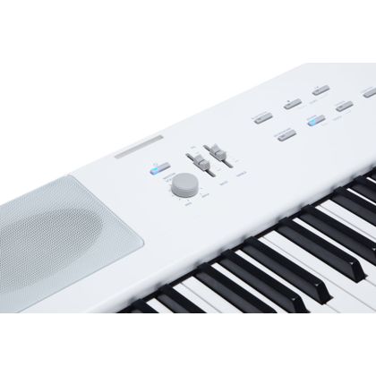 KURZWEIL KaE1 White Pianoforte Digitale 88 tasti Pesati