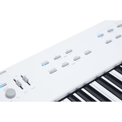KURZWEIL KaE1 White Pianoforte Digitale 88 tasti Pesati