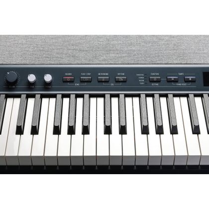 KURZWEIL KaP1 Black Pianoforte Digitale 88 tasti Pesati