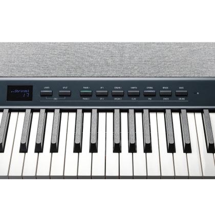 KURZWEIL KaP1 Black Pianoforte Digitale 88 tasti Pesati