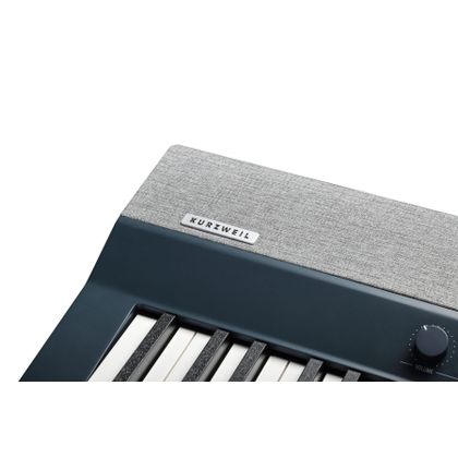 KURZWEIL KaP1 Black Pianoforte Digitale 88 tasti Pesati