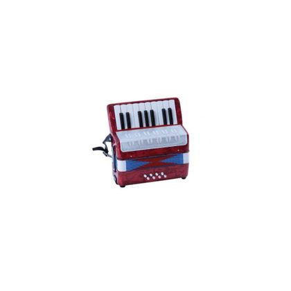 Fisarmonica 306 suonabile 17/8 con cinghie e scatola