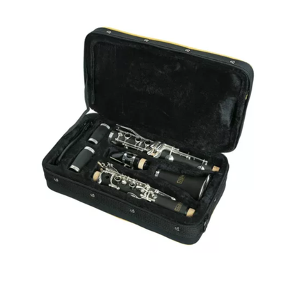 OQAN OCL-350 Clarinetto USATO