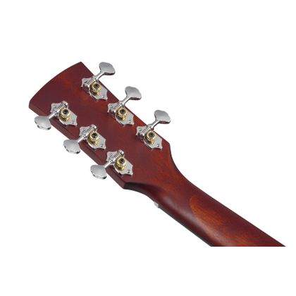 IBANEZ PF15JR OPN Open Pore Natural Chitarra Acustica 3/4