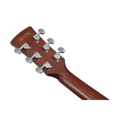 Ibanez PJ50E OAH Chitarra Acustica Amplificata