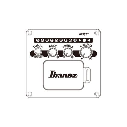 Ibanez PJ50E OAH Chitarra Acustica Amplificata