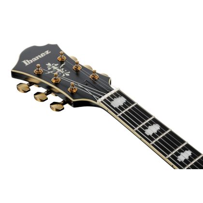 IBANEZ PM3CBKL Black Low Gloss Chitarra Semiacustica