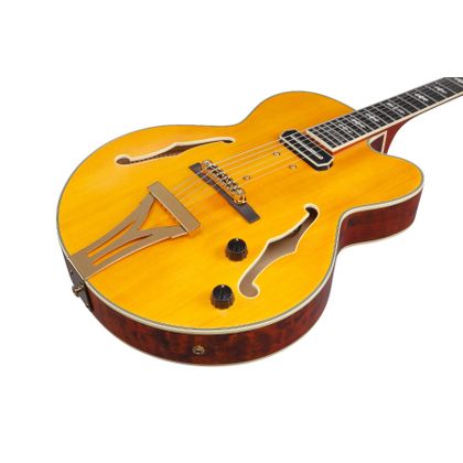 IBANEZ PM3CNAL Natural Amber Low Gloss Chitarra Semiacustica