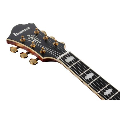 IBANEZ PM3CNAL Natural Amber Low Gloss Chitarra Semiacustica