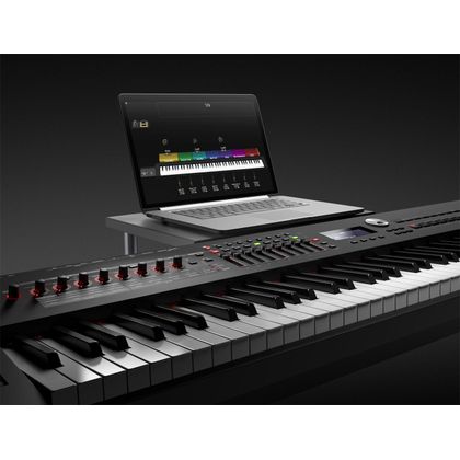 Roland RD-2000 PIANOFORTE DIGITALE 88 TASTI PESATI NERO