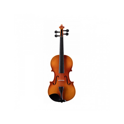 Roling's Violino 1/2 con custodia e accessori