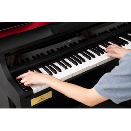 Casio Celviano AP-750 Black Pianoforte digitale