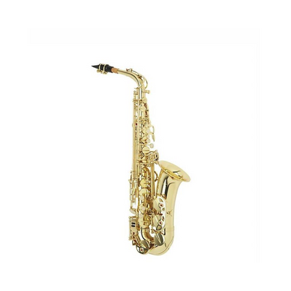 W. Stern WSSA30 Sax contralto laccato oro con astuccio