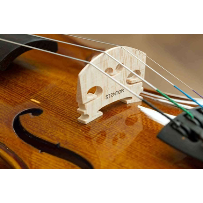Stentor Student I VL1110 Violino da studio 3/4 Preparato da un Liutaio