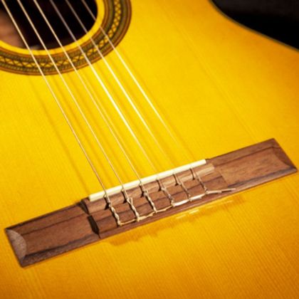 Takamine GC1CE naturale Chitarra classica amplificata