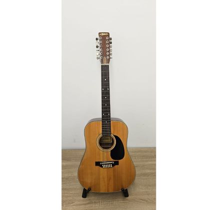 Ariana 9024 Chitarra Acustica 12 corde ( usata )
