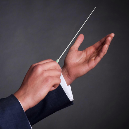 Bacchetta per direttore d'orchestra B01