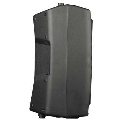 PROEL V10PRO Cassa Attiva con DSP 10" 600W