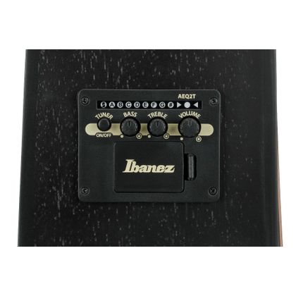 Ibanez V44CE WK Chitarra Acustica Amplificata