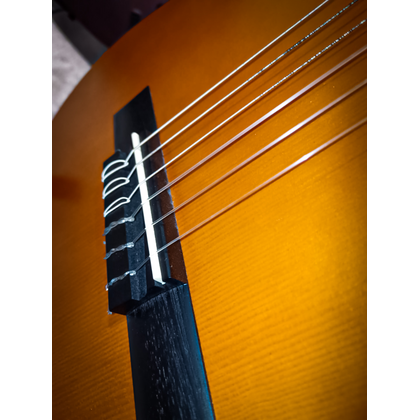 Valencia VC204 Chitarra Classica Usata