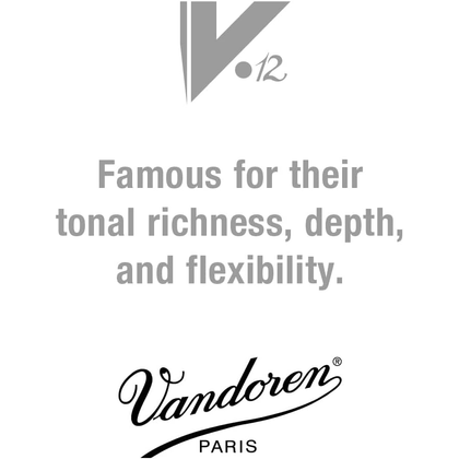 Vandoren Ance clarinetto Sib V.12 N.3 1/2 (confezione da 10)