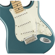 Fender player Stratocaster Limited Edition MN Lake PLacid Blue