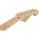 Fender Player Stratocaster HSS Plus Top MN Aged Cherry Burst