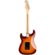 Fender Player Stratocaster HSS Plus Top Tobacco Sunburst