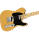 Fender Player Telecaster Butterscotch Blonde MN chitarra elettrica