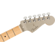 Fender 75th Anniversary Stratocaster MN Diamond Anniversary Chitarra elettrica con borsa