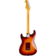 FENDER American Professional II 70th Stratocaster RW Comet Burst