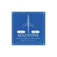 Augustine Blue Muta di corde per chitarra classica High Tension