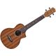 Ukulele Concerto Ibanez UEW5 OPN