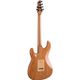 Eko Aire Standard chitarra elettrica naturale