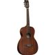 Eko Duo P200e Chitarra acustica Parlor