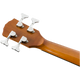 FENDER CB-60SCE Natural Basso Acustico