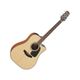 Takamine GD10CE NS natural Chitarra acustica elettrificata naturale