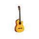 Takamine EG124C Chitarra classica amplificata