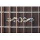 Ovation Celebrity Elite Plus Limited 2024 CE44P-BLFL-G Blue Flamed Maple Acustica Elettrificata