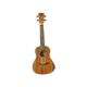 Eko Uku Duo Ukulele Concerto Amplificato + borsa + corde + accordatore + prontuario