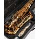 DAM DAS-90 Sax Alto completo di custodia