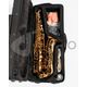 DAM DAS-90 Sax Alto completo di custodia