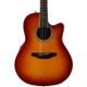 Ovation Applause Standard Mid Depth AB24II-HB Honey Burst Chitarra acustica elettrificata