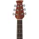 Ovation Applause Standard Mid Depth AB24II-HB Honey Burst Chitarra acustica elettrificata