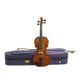 Stentor Student I VL1100 Violino da studio 3/4 completo